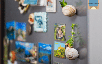 How to Start Collecting Fridge Magnets: Tips and Tricks for Beginners