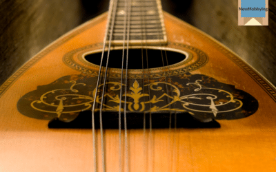 How to Start Collecting Mandolins: A Beginner’s Guide