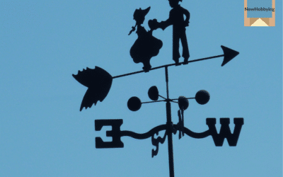 How to Start Collecting Weather Vanes: A Beginner’s Guide