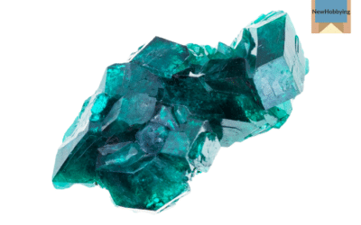 How to Start Collecting Crystal and Mineral Specimens: A Beginner’s Guide