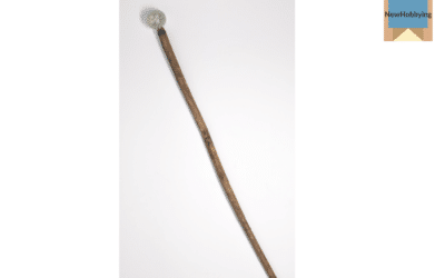 How to Start Collecting Walking Sticks and Canes: A Beginner’s Guide